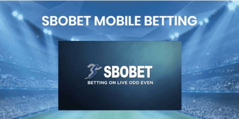 hieu-ro-hon-ve-sbobet-sport